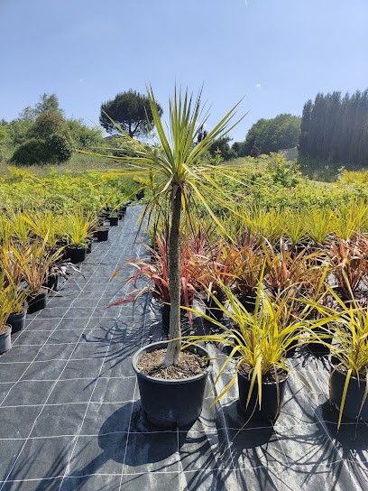 Le Jardin D'essences, Pépinière à Teillé