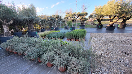 Plant'azur Pépinière, Pépinière à Fréjus