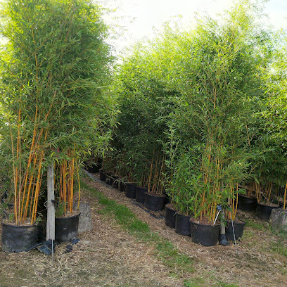Rezo Plant Sarl, Pépinière à Montauriol