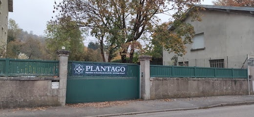 Plantago, Pépinière à Bouxières-aux-Dames