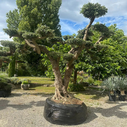 Excelsia Négoce, Pépinière à Saint-Hilaire-du-Rosier