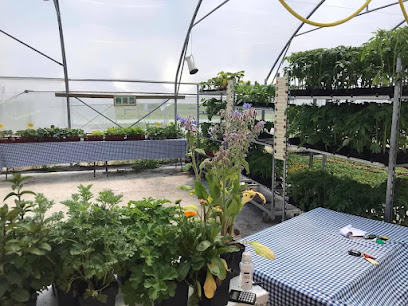 O Bon Plant, Pépinière à Manzac-sur-Vern