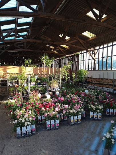 Molly & Val's Plants, Pépinière à Torchamp